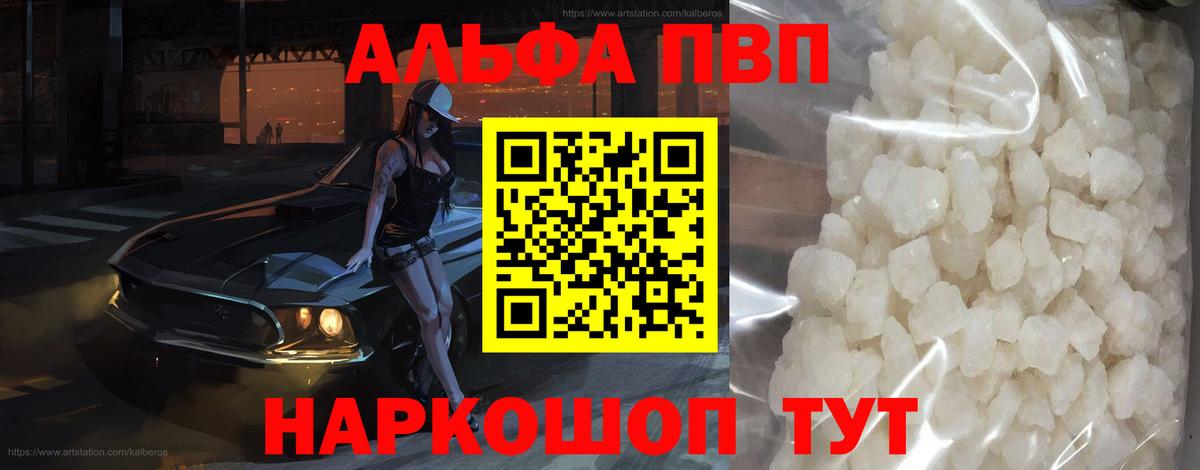 Alfa_PVP СК Череповец